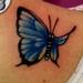 Tattoos - Tatuaggio Farfallina Blu, Little butterfly tattoo - 84054